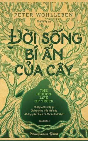 Đời Sống Bí Ẩn Của Cây